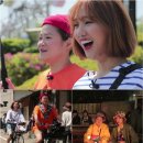 미미 이미지