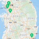 도그마루 강아지 고양이 마포용산점 이미지