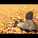 대성암 앞 이미지