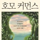 빅호몰