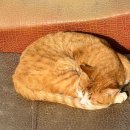 수원-0116 | 모든 스쳐가는 것들에 온 마음을 쏟아야지