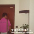 유진여행사 이미지