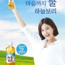 하늘보리 이미지