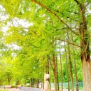 고성공룡나라휴게소주유소 대전방향 이미지