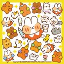 비젼케이 이미지