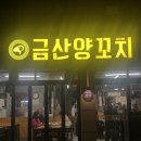 양꼬치92 | 인하대 양꼬치 맛집 : 금산양꼬치 본점 요리류 내돈내산 후기