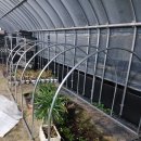 이너하우스 이미지