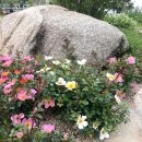 양정길 | 청도 화양읍 대구근교 데이트코스 들꽃뜨락 드라이브