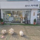 새꽃마을뜨란채 119동 건너편 이미지