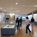 2025 섬 홍매화축제 이미지