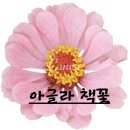 클래식과 함께 유럽을 걷다 | 클래식 입문 유럽 여행 『클래식의 심장, 유럽을 걷다』 아글라 책리뷰