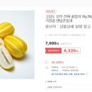 고당도 성주 진짜 꿀참외 1Kg 무배 6,320원 이미지