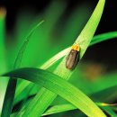 안터축산 이미지