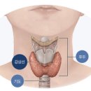 강남라이프산부인과의원 이미지