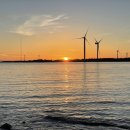 라쿤 하우스 | [제주여행숙소] 김녕 세기알 해변 근처 라쿤하우스 숙박 후기