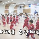 추산태권도장 이미지