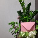 코리아행정 법률사무소 이미지