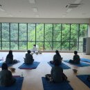 웰니스9 이미지