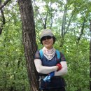 태을초교 이미지