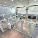 아망도그플레이스 이미지