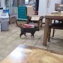 풍미루