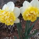 시흥농장 이미지