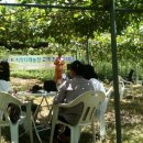 치악농장 이미지