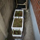 여명목장 이미지