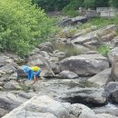 덕유캠프농장 이미지