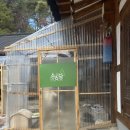 땡전 | [경주 맛집] 예쁜 공간에서 즐기는 정갈한 한 끼, '소솜당' (소솜석갈비 &amp; 오징어땡전 후기)