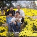 태식이네 이미지