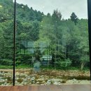 브룩5(BROOK5) 이미지