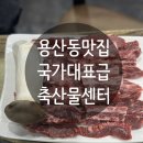 국가대표급축산물센터 | [용산동 맛집] 투뿔한우 국가대표급축산물센터 갈비