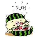 체리애견 이미지