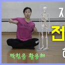 [ 짝힘을 활용한 전신 교정법 ] 틀어진 좌우의 균형을 맞추는 순서와 방법 / 신체중력선의 교차된 근육 활용하기 이미지