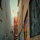 전통콩비지 이미지