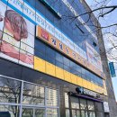 장보는 강아지와 고양이 티스토리