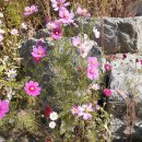 중랑천 만남의 광장 이미지