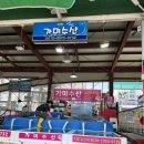 동해 묵호항 수산시장 활어센터에서 회 뜬 후기