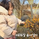 산적농장 | [오늘의 육아기록] 할아버지 다이어리에 그림놀이! 시골 소녀 토리의 힐링 데이 🌳