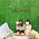 놀자엔터테인먼트 협동조합 이미지