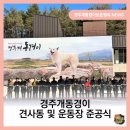 경주시 건천읍 운동장 네이버블로그