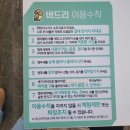 버드리천안점 | 천안 앵무새카페 버드리천안점 앵무새분양 카페 방문 후기