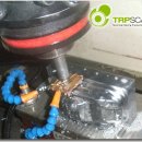 The Fit (더 피트) 이미지