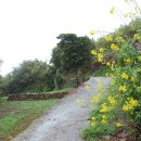 녹산등대가는길 이미지