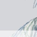 참좋은안과의원 이미지