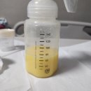 다샘의원 | 창원 선린산후조리원 12박13일 후기 모유유축, 수유시기 조리원 상세일지