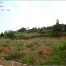 금일읍-1 이미지