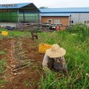 가을농원 이미지