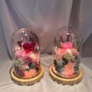 장미인테리어 이미지